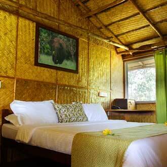 Inn The Wild, Masinagudi 3
